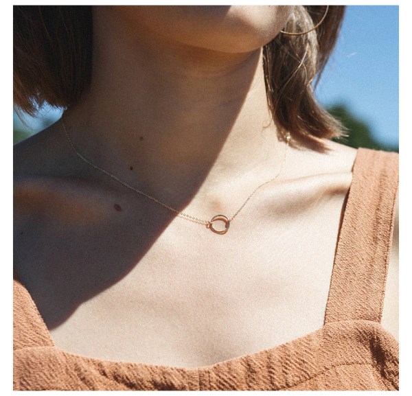 H741043be1725476d946fc15fbb3e6239P.webp Hollow Circle Trendy Dainty Stainless Steel Charms Pendant Necklace